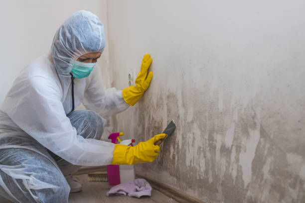 Professional Mold Remediation in Hillsboro, OR