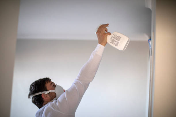 Best Black Mold Remediation in Hillsbo, OR