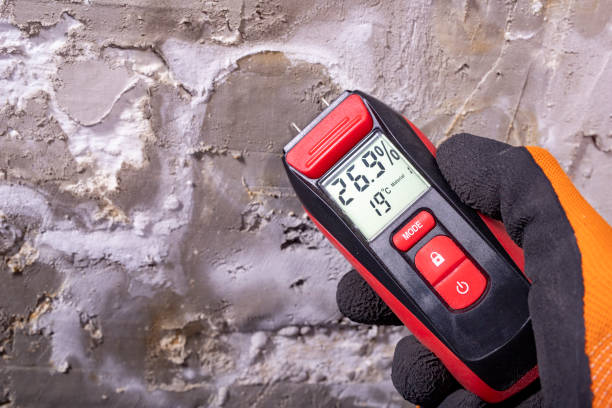 Best Industrial Mold Remediation in Hillsbo, OR