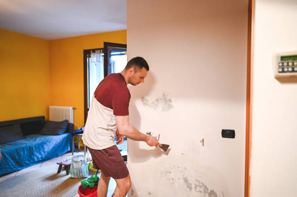 Best Mold Remediation for Specific Building Types in Hillsbo, OR